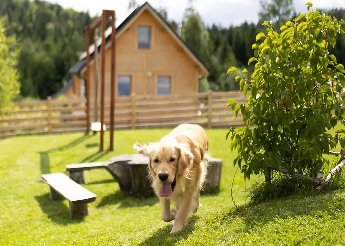Pod Hala Krupowa Sidzina