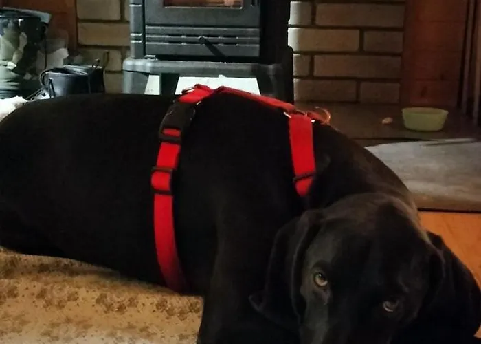 Vakantiehuis Pod Hala Krupowa *